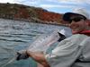 Queenie from the yak at Leveque Island, Cape Leveque